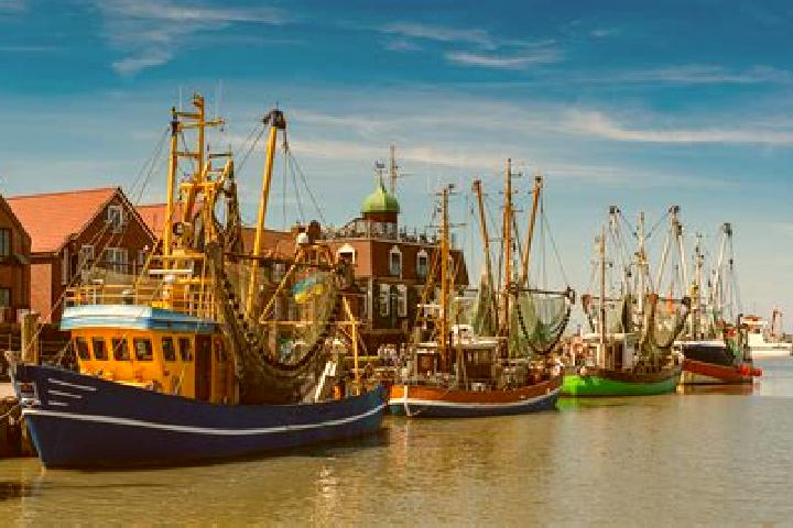 escort Neuharlingersiel