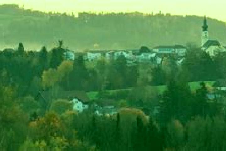 escort Neukirchen am Walde