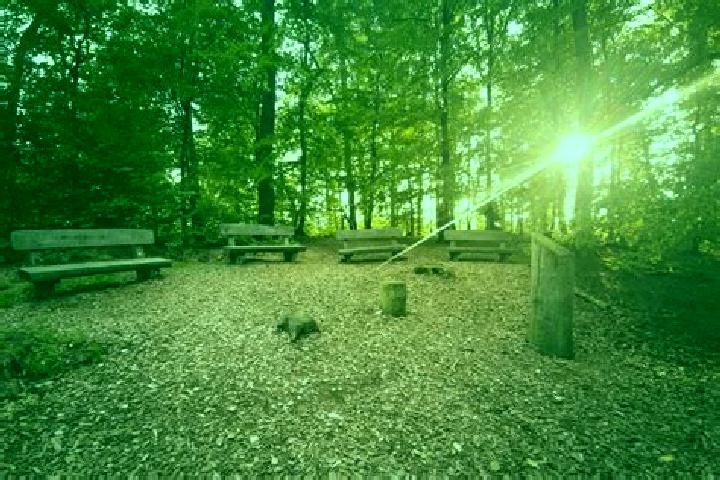 escort Neunburg vorm Wald