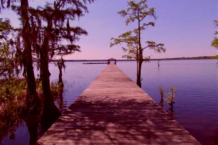 escort Neuse Forest