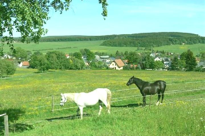 escort Neustadt Vogtland