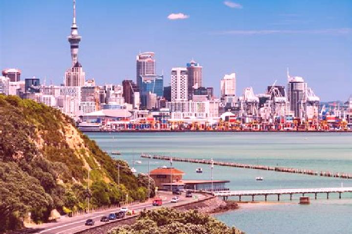 escort New Auckland