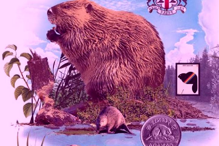 escort New Beaver