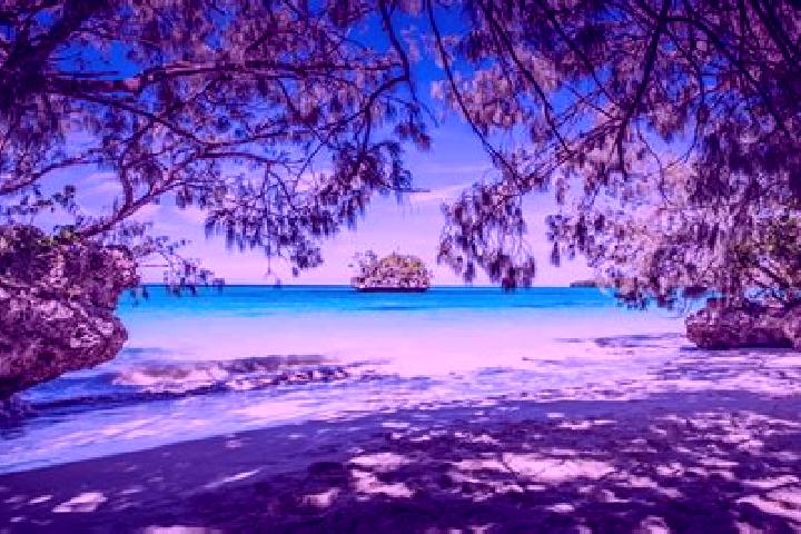 escort New Caledonia