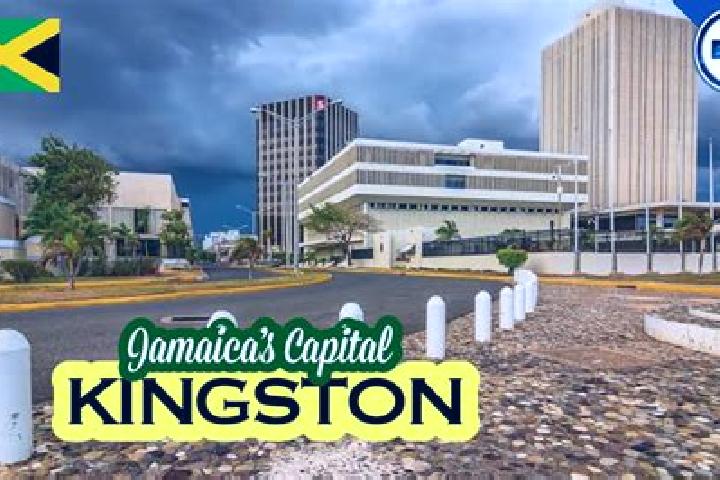 escort New Kingston