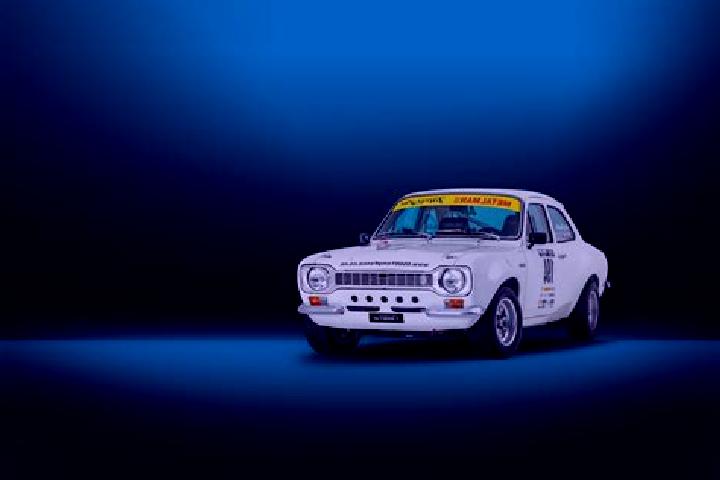 escort New Zealand