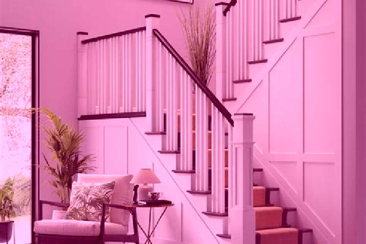 escort Newel