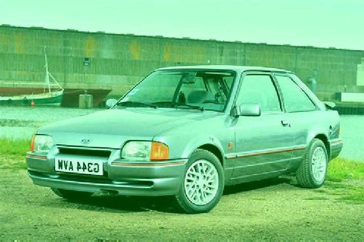 escort Newfield