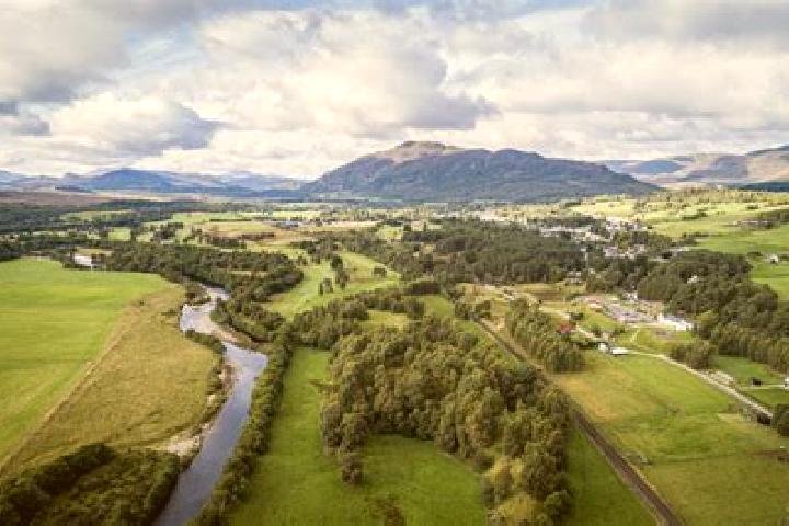 escort Newtonmore