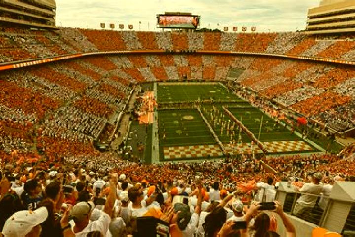 escort Neyland