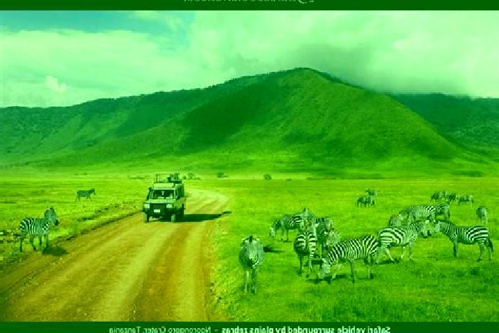 escort Ngorongoro
