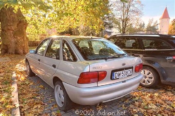 escort Niederlenz