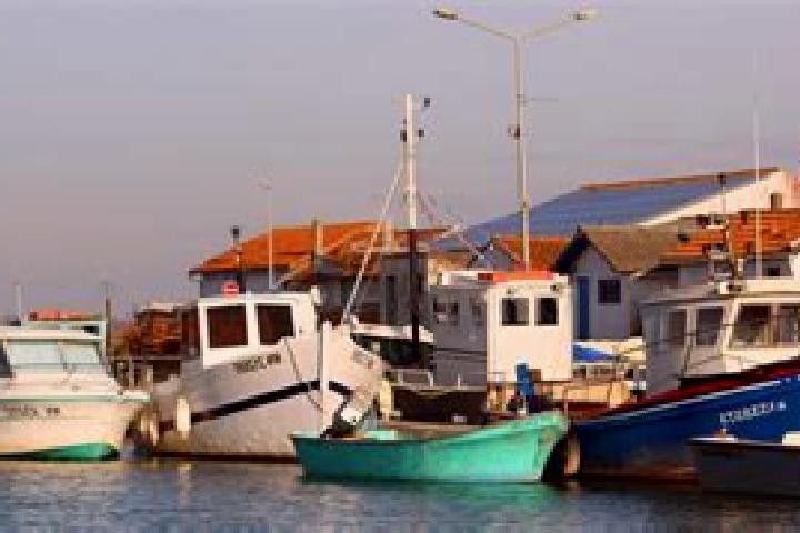 escort Nieulle-sur-Seudre
