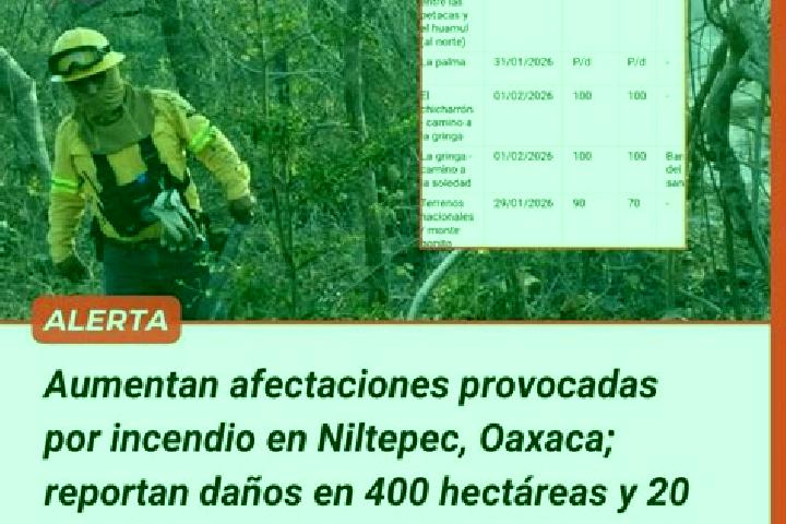 escort Niltepec