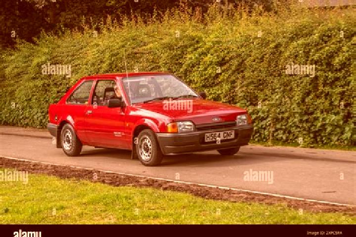 escort NirDavid