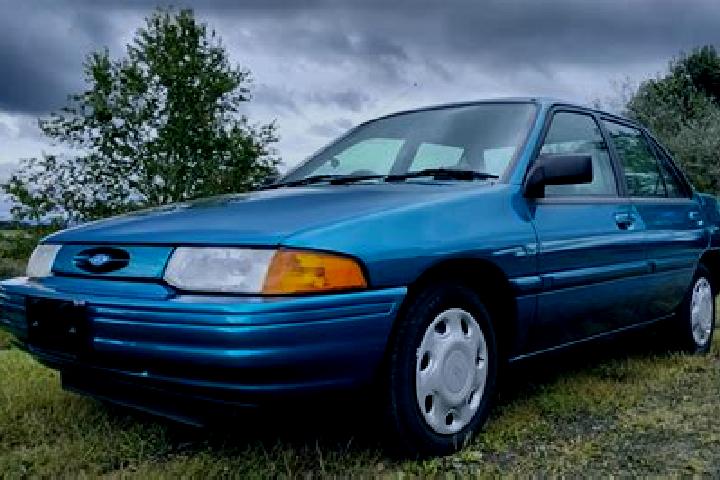 escort Nizbor