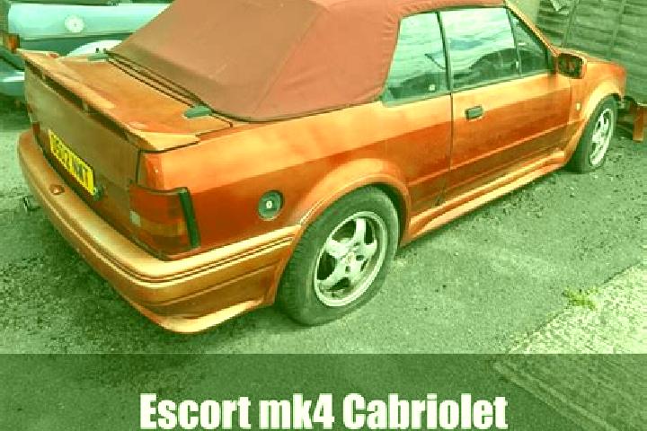 escort Non Sang