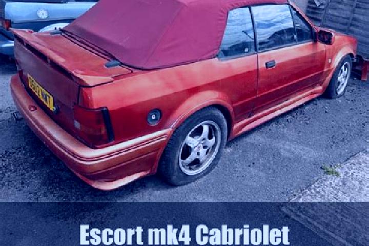 escort Non Thai