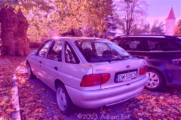 escort Nonnewitz