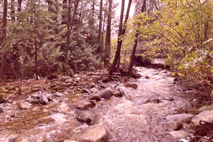 escort Noons Creek