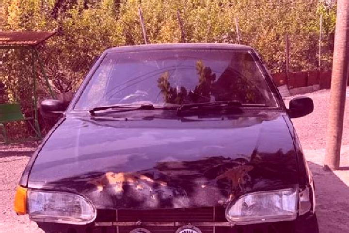 escort Nor Yerznka