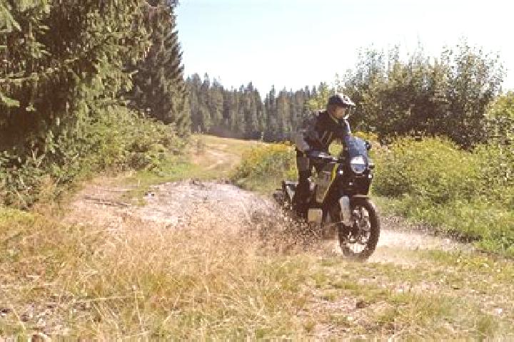 escort Norden