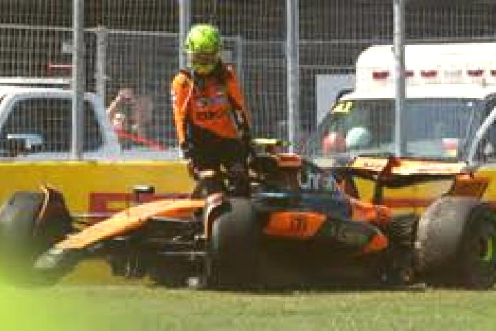escort Norris Arm