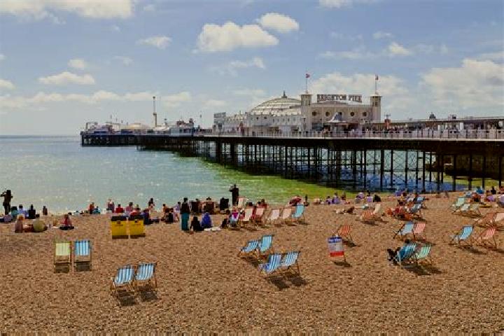 escort North Brighton