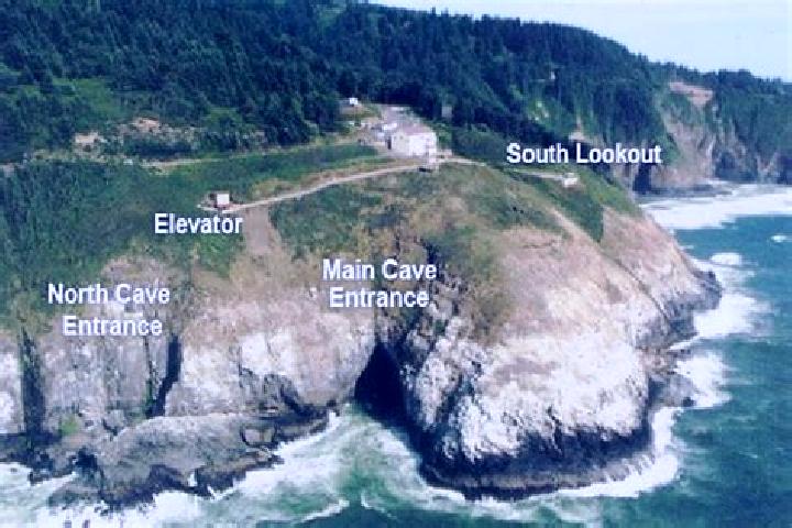 escort North Cave