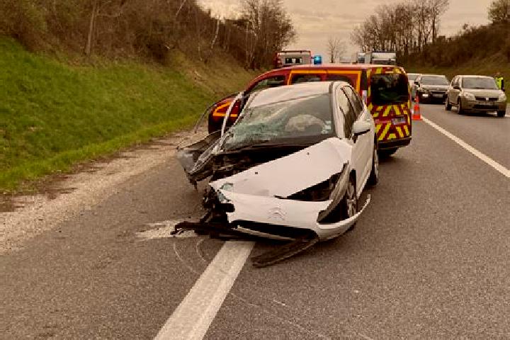 escort North Charleroi