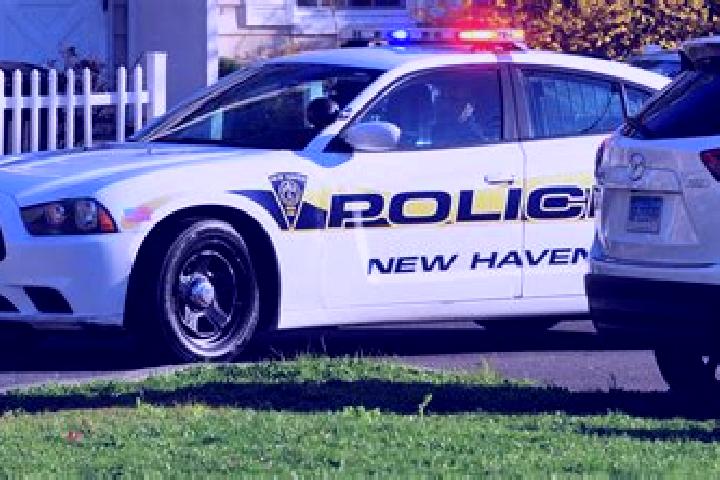 escort North Haven