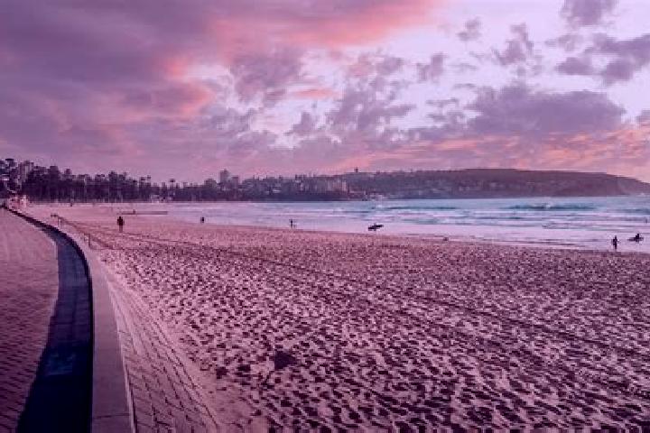 escort North Manly
