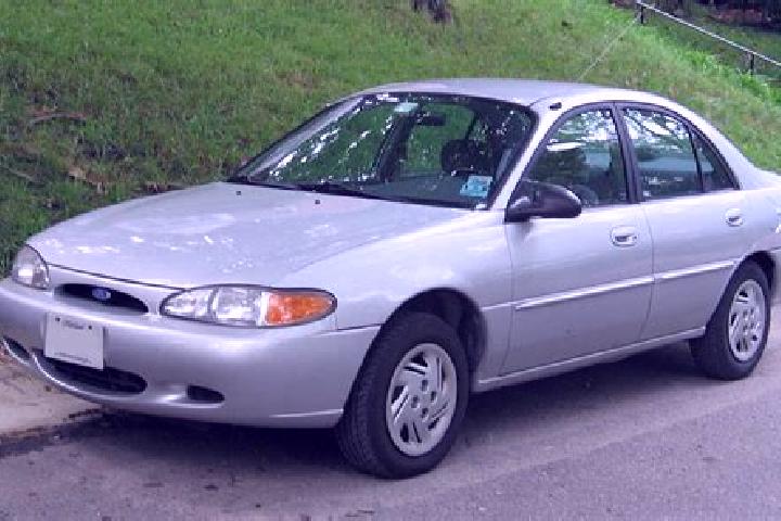 escort North Stamford