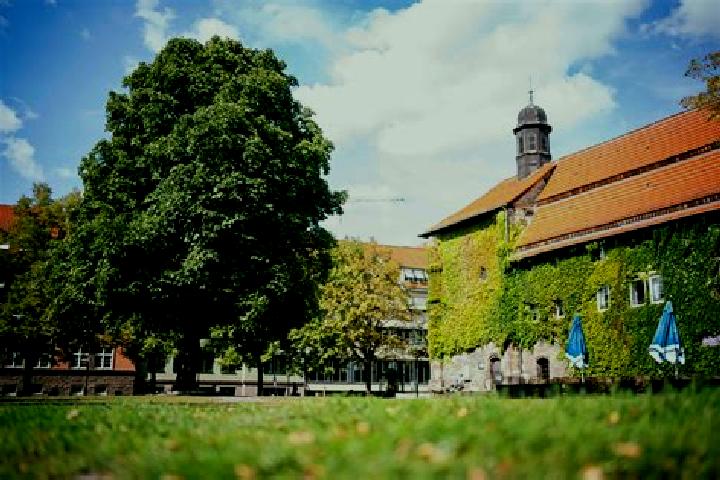 escort Northeim