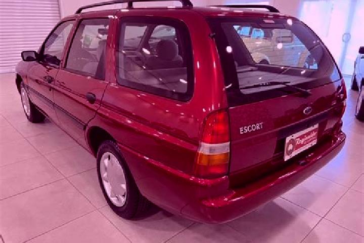 escort Nova Borova