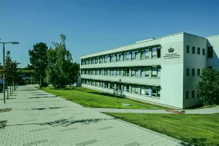 escort Nove Syrovice