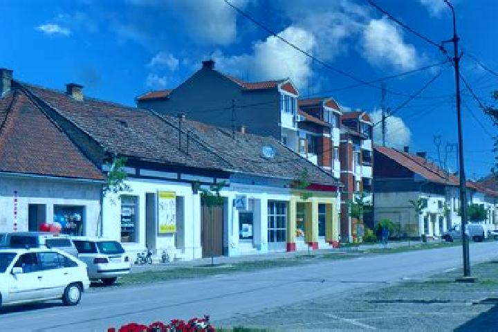 escort Novi Becej