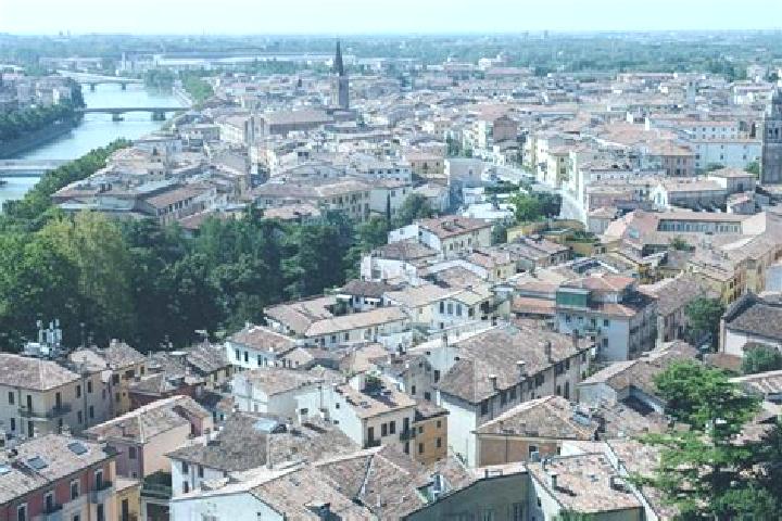 escort Novi di Modena