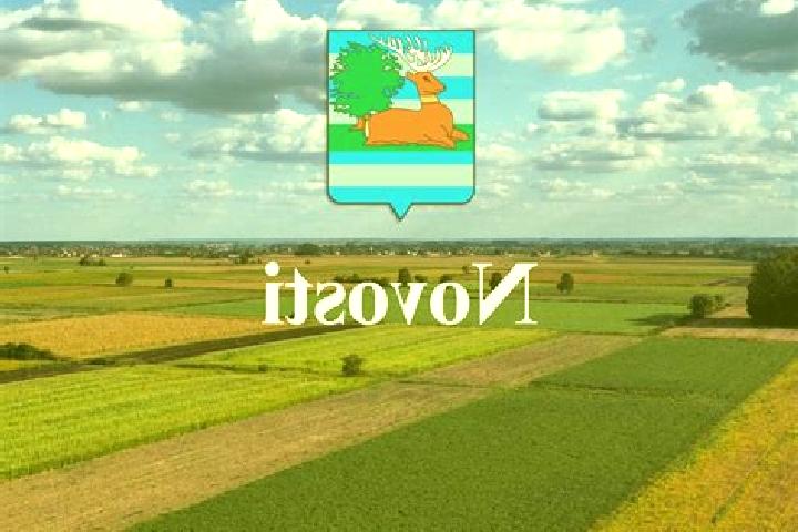 escort Novi Jankovci