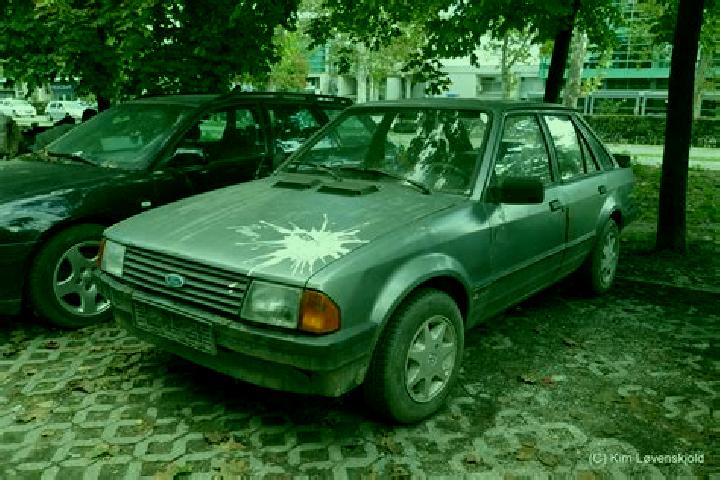 escort Novi