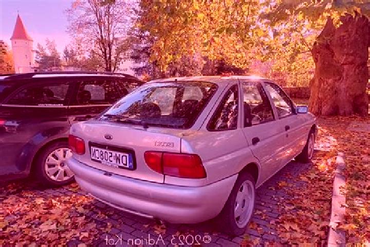 escort Novosele