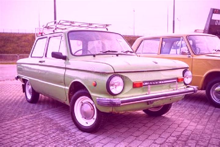 escort Novyy Urengoy