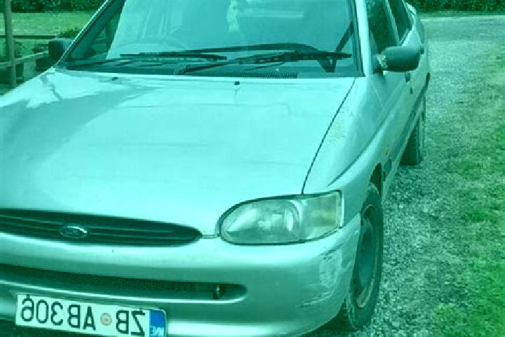 escort Nowa Gora