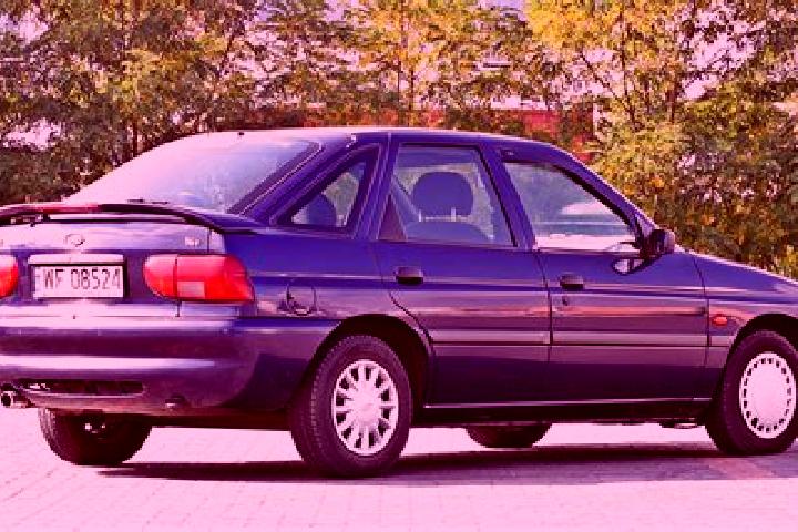 escort Nowe