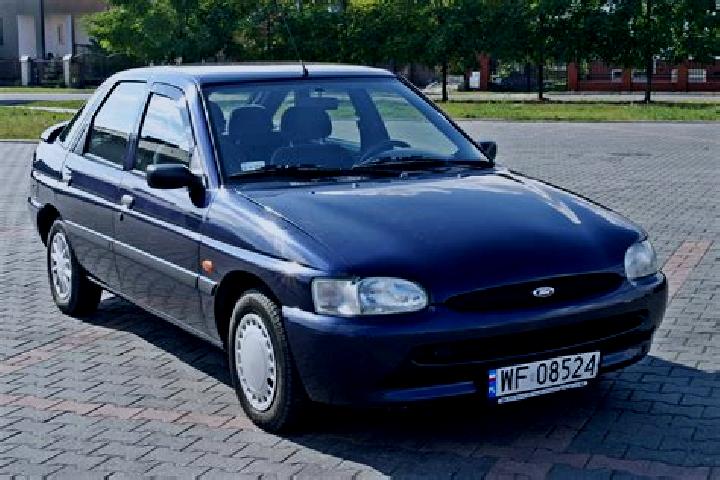 escort Nowy Korczyn