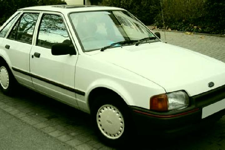 escort Nueva Reforma