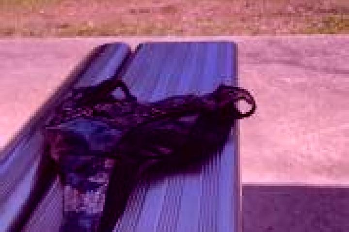 escort Nundah