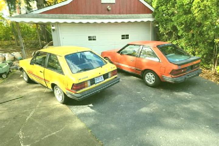 escort Oak Bay