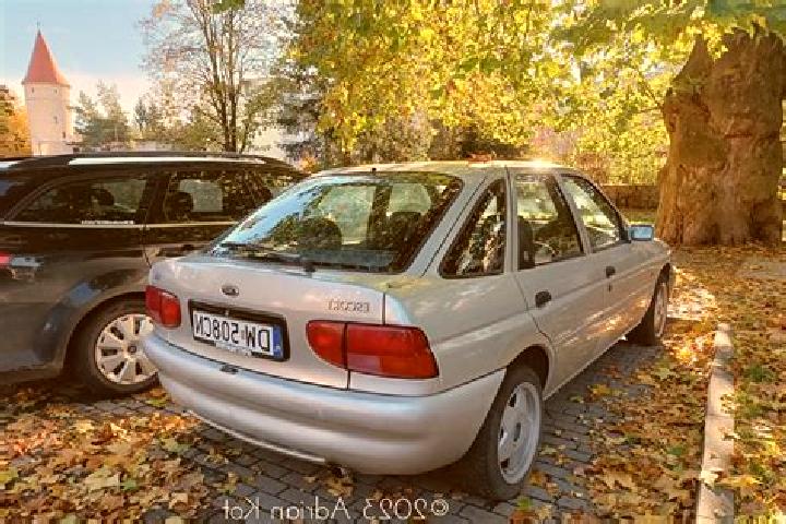 escort Obenheim