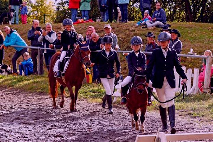 escort Oberlungwitz